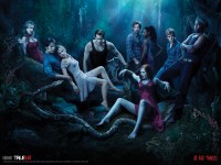 True Blood wallpaper