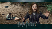 harry potter and the deathly hallows wallpapers