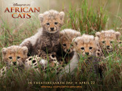 Disney's African Cats