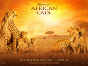 Disney's African Cats