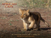 Disney's African Cats