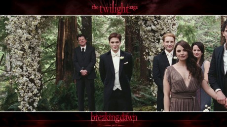 edward and bella's wedding