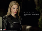 Kristin Bauer as Pam in True Blood