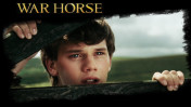 War Horse Wallpapers