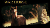 War Horse wallpapers