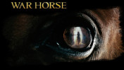 war horse wallpapers