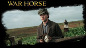 Steven Spielberg's War Horse Wallpapers