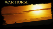 War Horse wallpapers