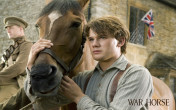 Spielberg's War Horse Wallpaper