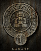 distict 1 emblem