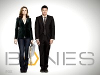 Emily Deschanel and David Boreanaz in Bones