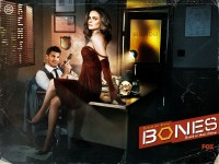 David Boreanaz and Emily Deschanel in Bones