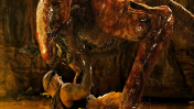 Riddick in action