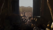 animals getting into Noah's ark in the upcoming movie Noah