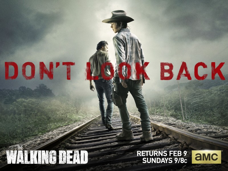 the walking dead wallpaper with carl and rick grimes