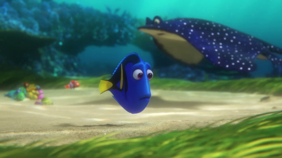 Finding Dory HD Wallpapers