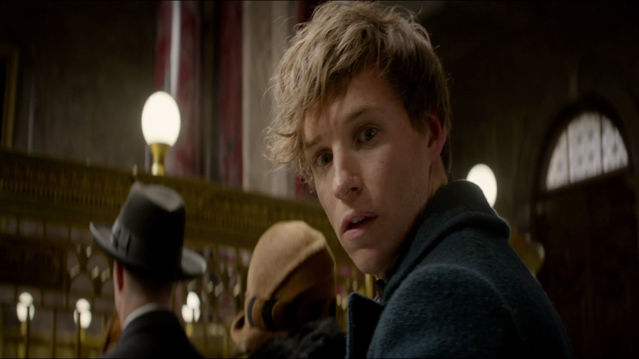 Fantastic Beasts and Where to Find Them HD Screencaps