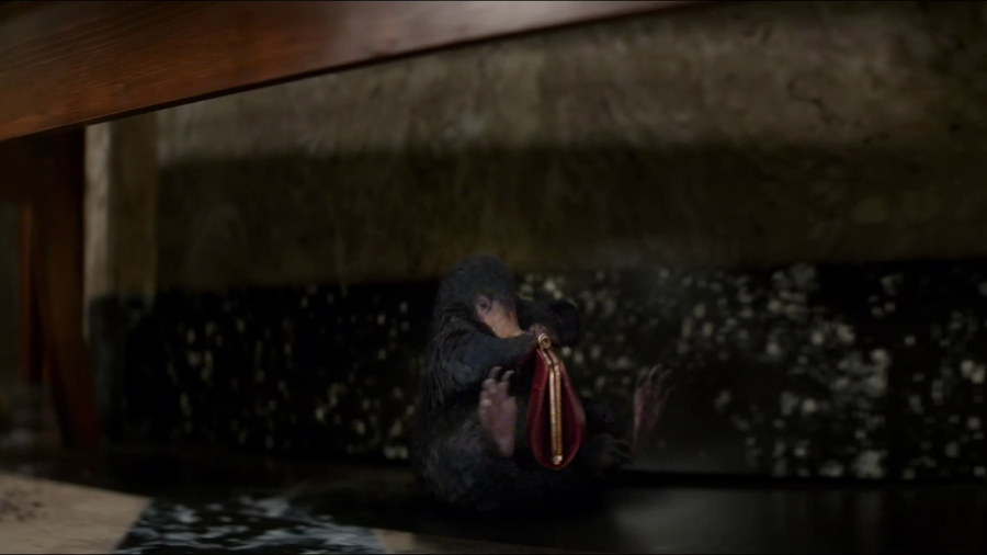 Fantastic Beasts and Where to Find Them HD Screencaps